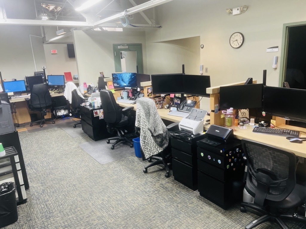 The Hidden Influence of Workplace Cleanliness on Employee Performance